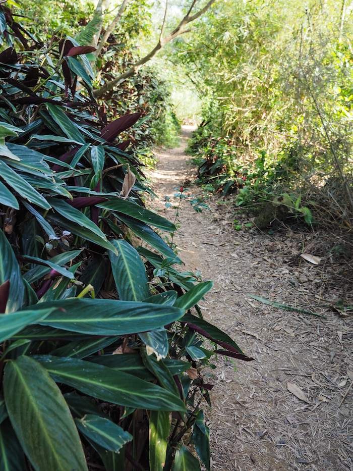 pad Elephant Mountain Trail