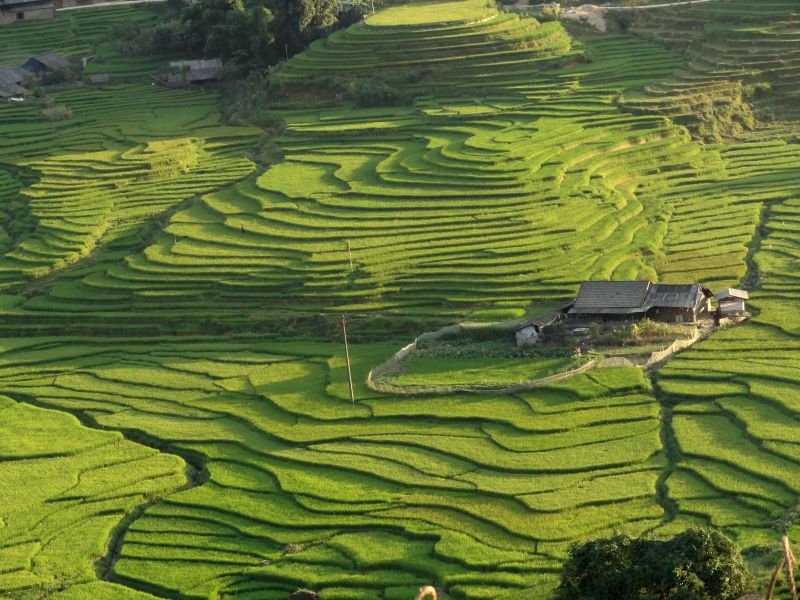 Sapa Vietnam