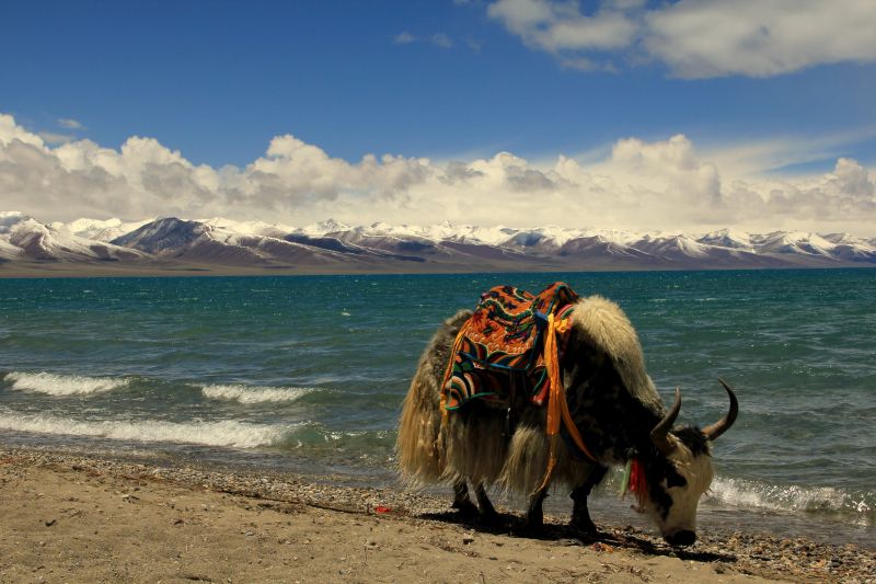 China Tibet