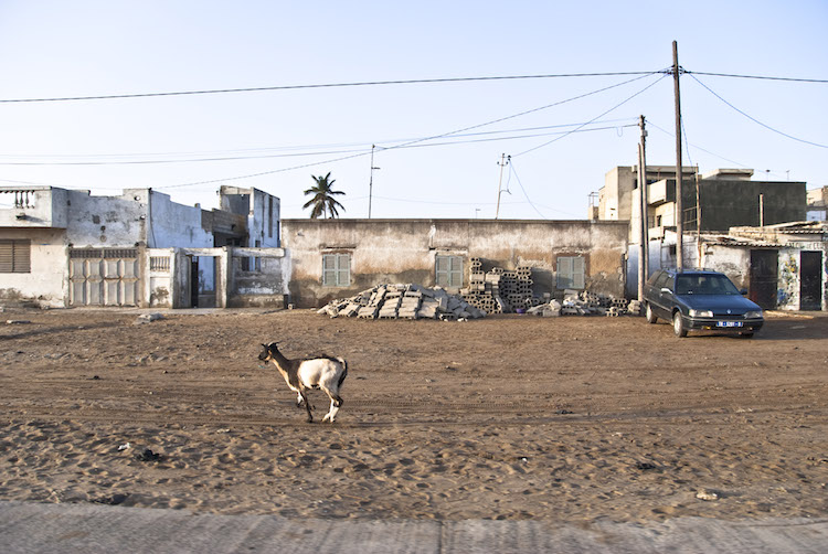 Amsterdam dakar challenge onderweg