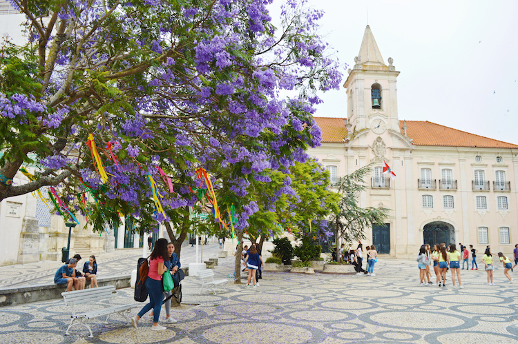 Aveiro_3