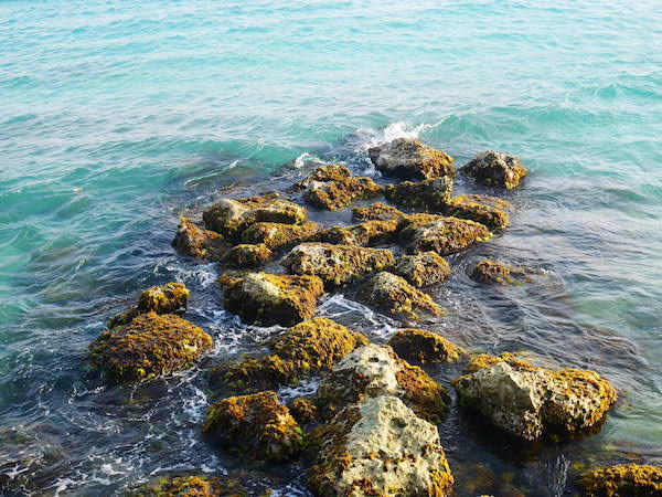 Avila hotel strand curacao