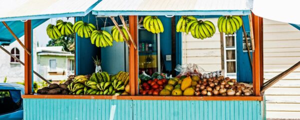 Barbados vakantie