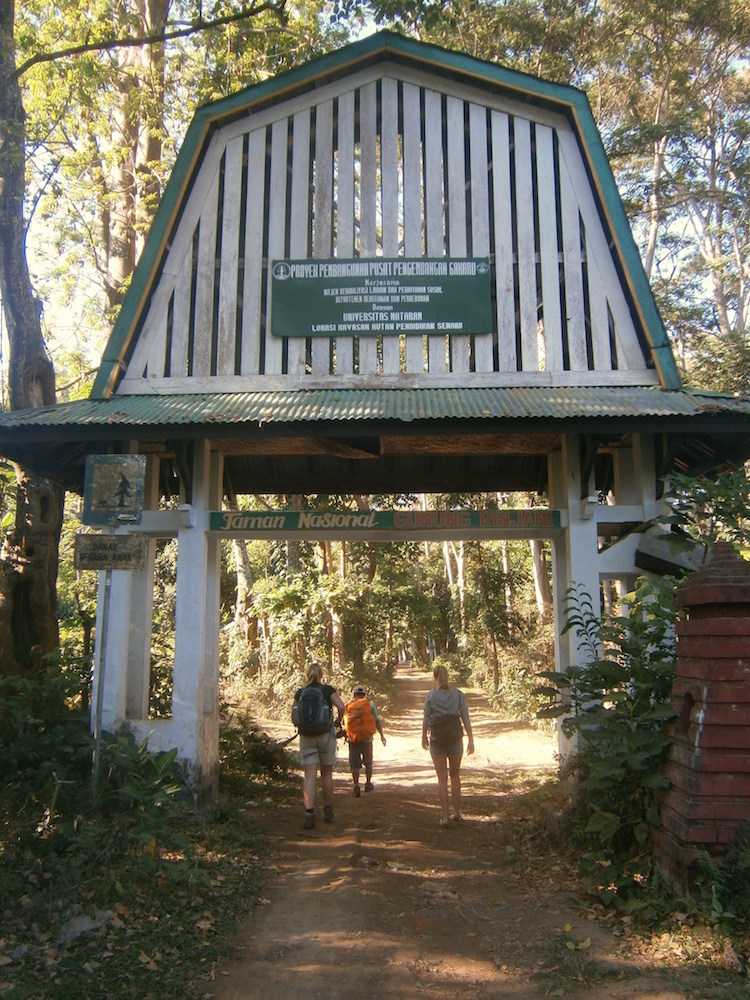 Begin trekking Rinjani