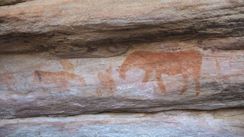rotstekeningen bushman