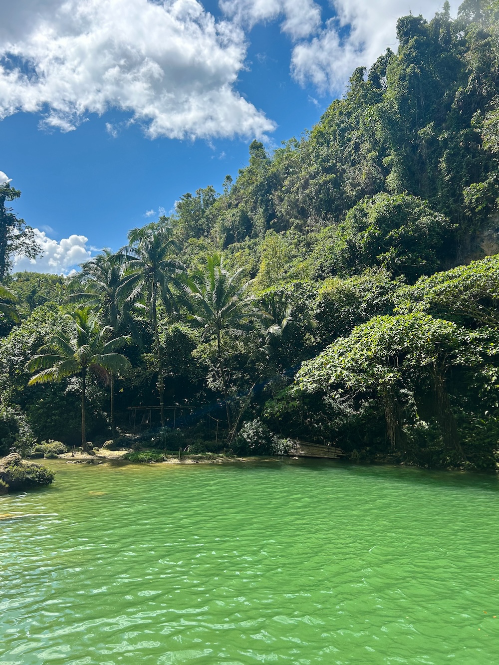 Camugao falls groene omgeving