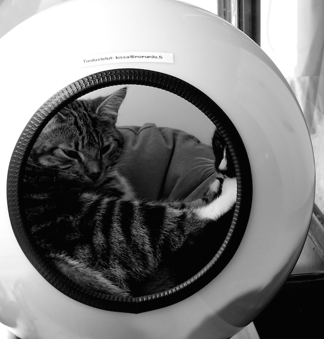 Catcafe in helsinki tip