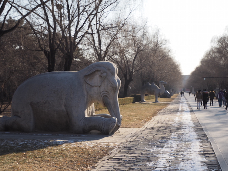 China heilige weg beijing olifant