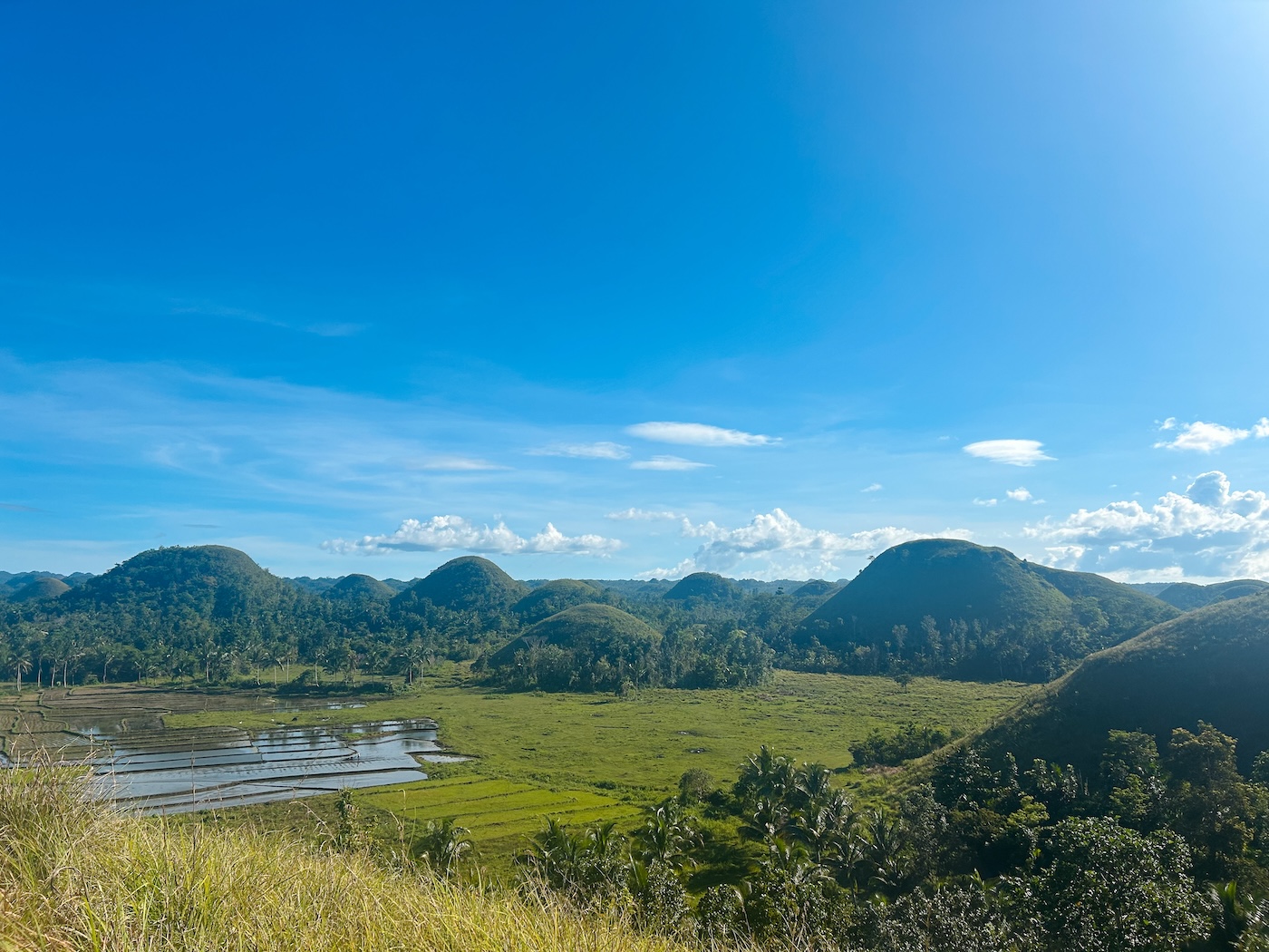 Chocolate Hills, mooiste plekken Filipijnen