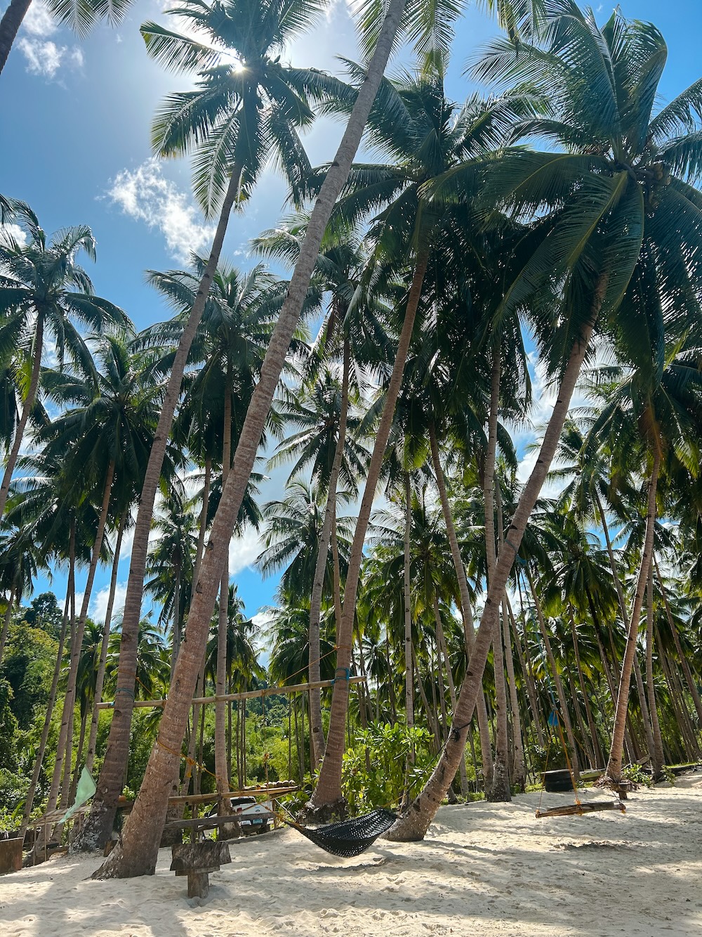 Coconut beach hangmat tussen palmbomen
