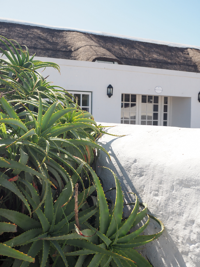 De Hoop collection cottages tuin