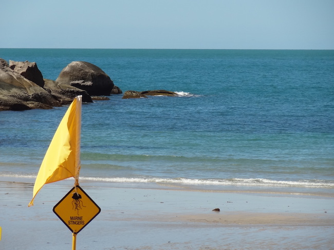 Dieren in Australie Kwallen
