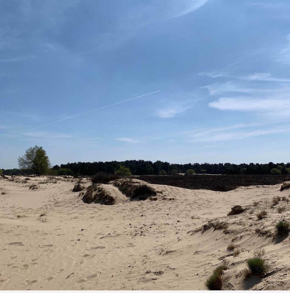 Drunense Duinen Wandeltocht Bosch en Duin