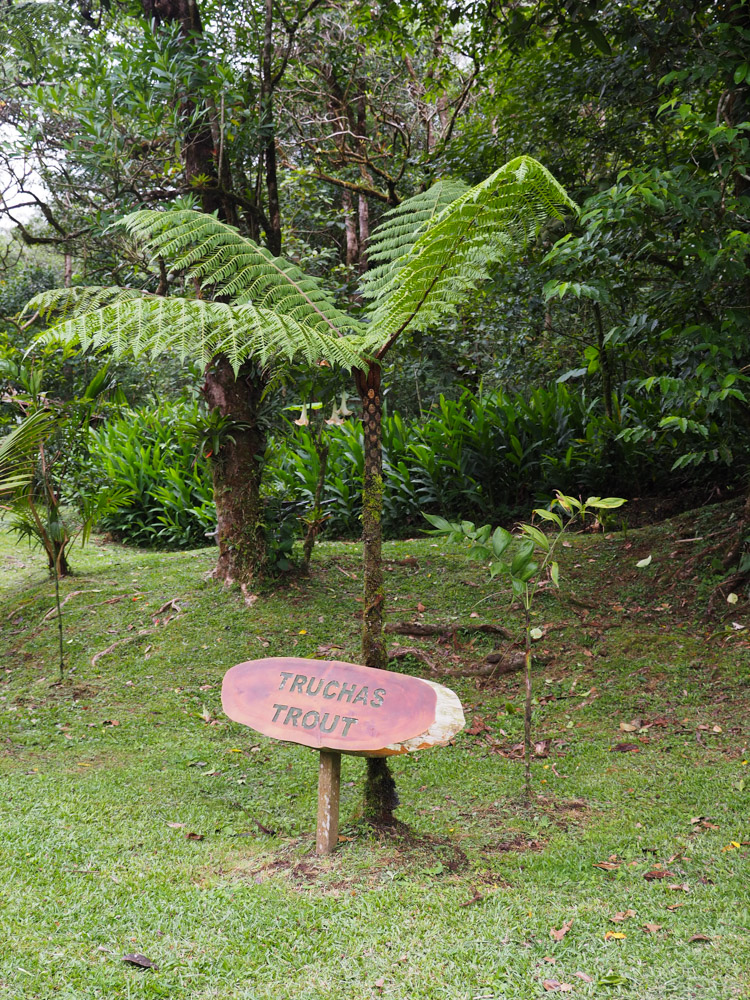 El Silencio lodge spa Costa Rica moestuin-2