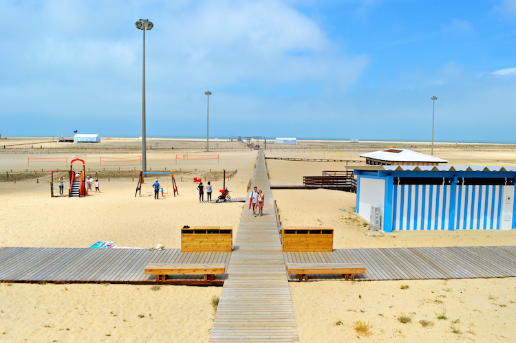Figueira_1