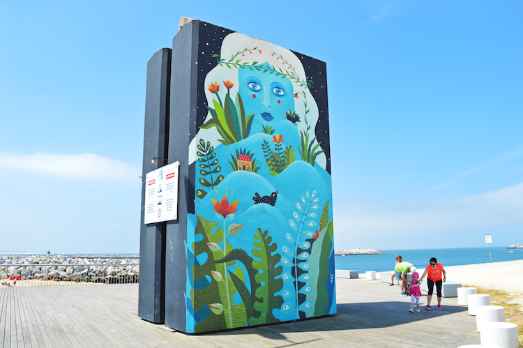 Figueira_3