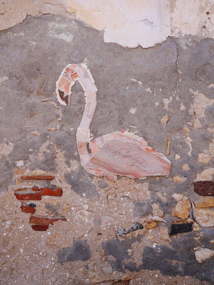 Flamingo sicilie brucoli