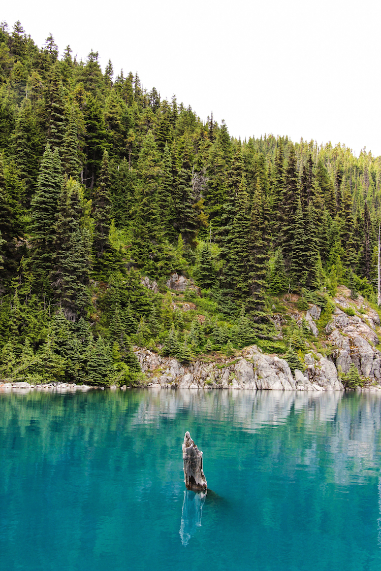 garibaldi-vancouver-109