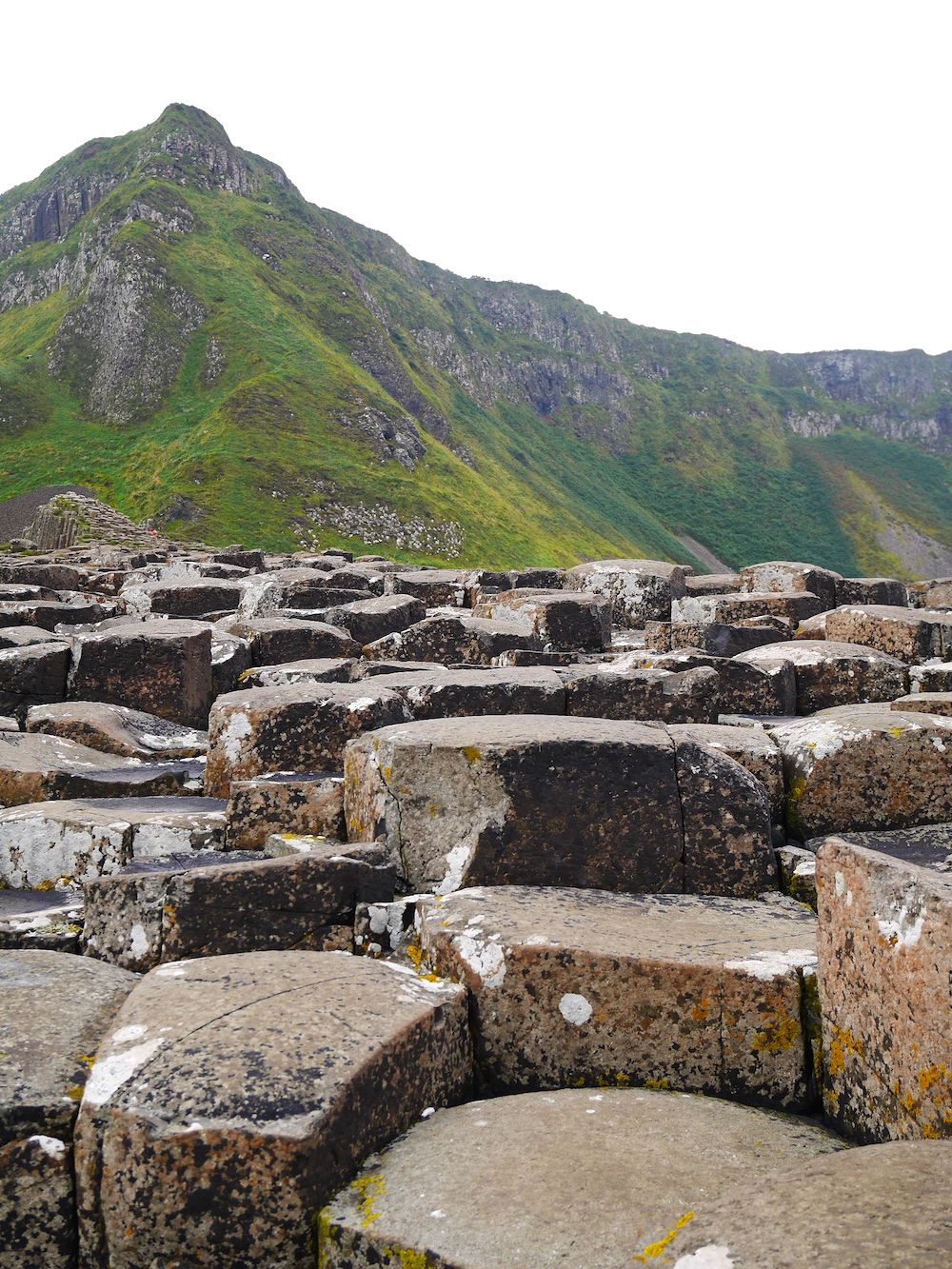 Giant's Causeway noord-ierland kust