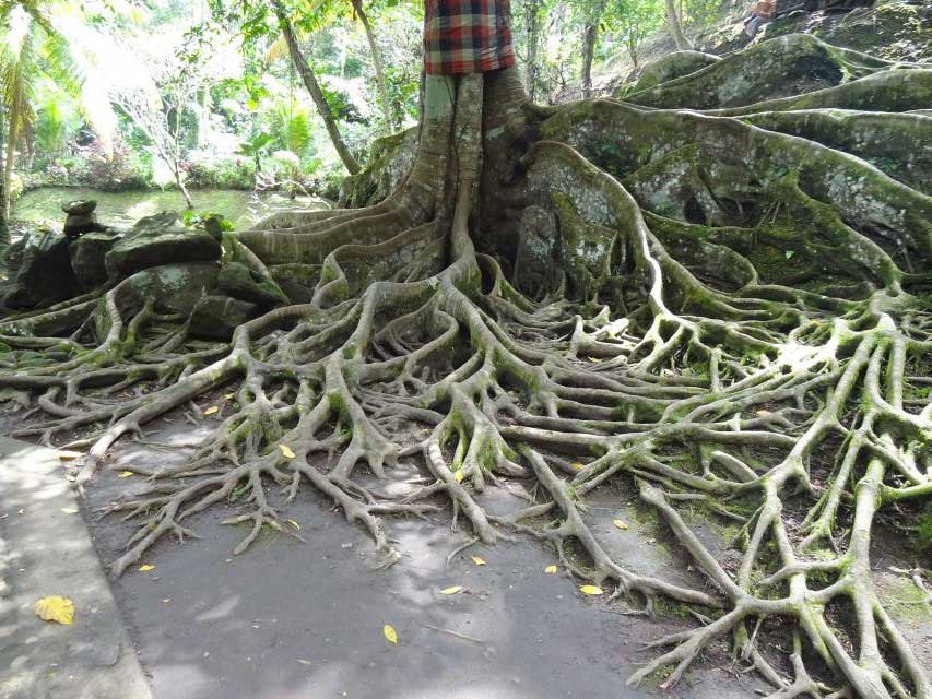 Goa Gajah tuin