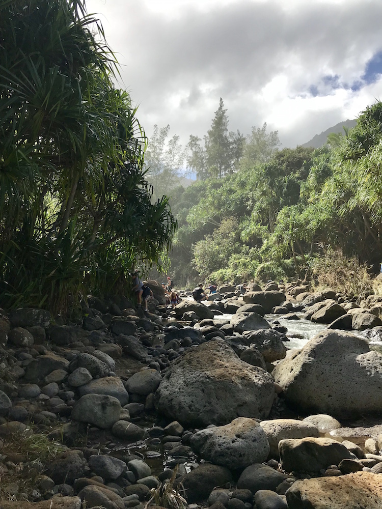 Hawaii groen natuurgebied rivier