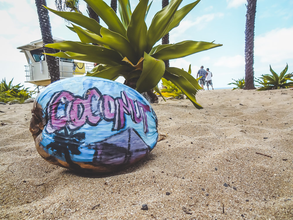 hawaiiaans hawaii