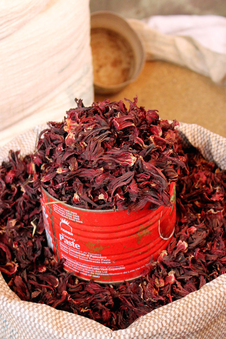 Hibiscus