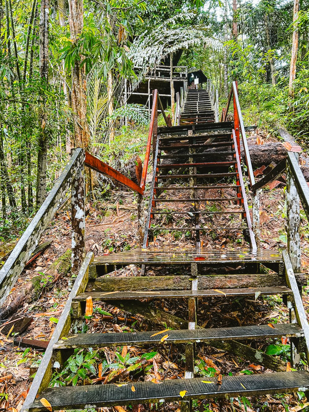 Hike in Kuching