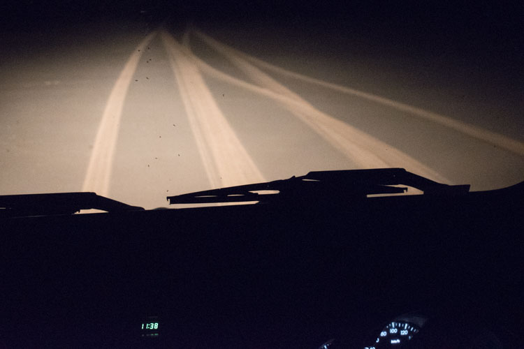 Hluhluwe zuid afrika night safari