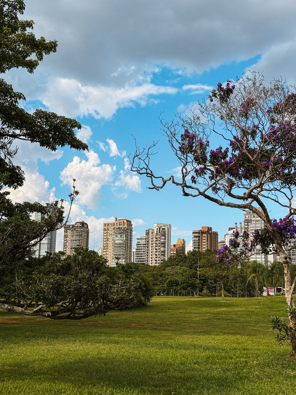 Ibirapuera Park São Paulo