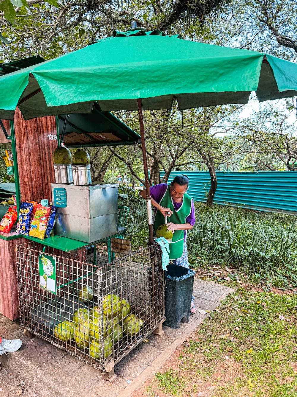 Ibirapuera Park food kraampje