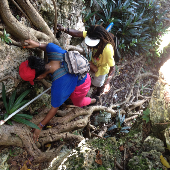 Jamaica Hike wandelen