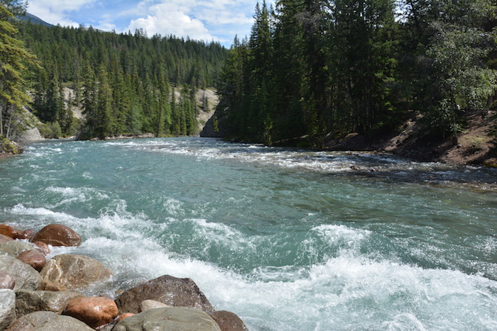 Jasper national park west canada rondreis