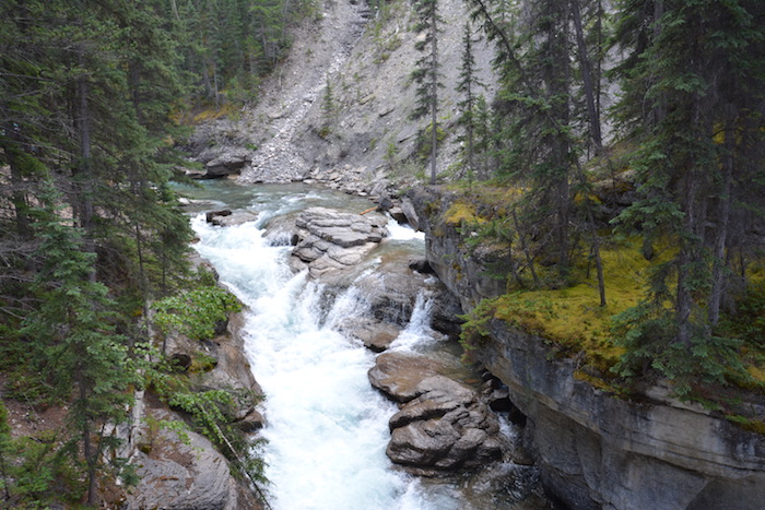 Jasper national park west canada