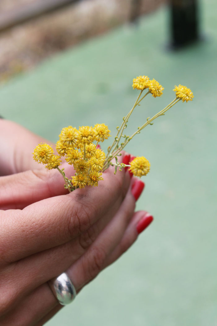 Jeepsafari benidorm detail