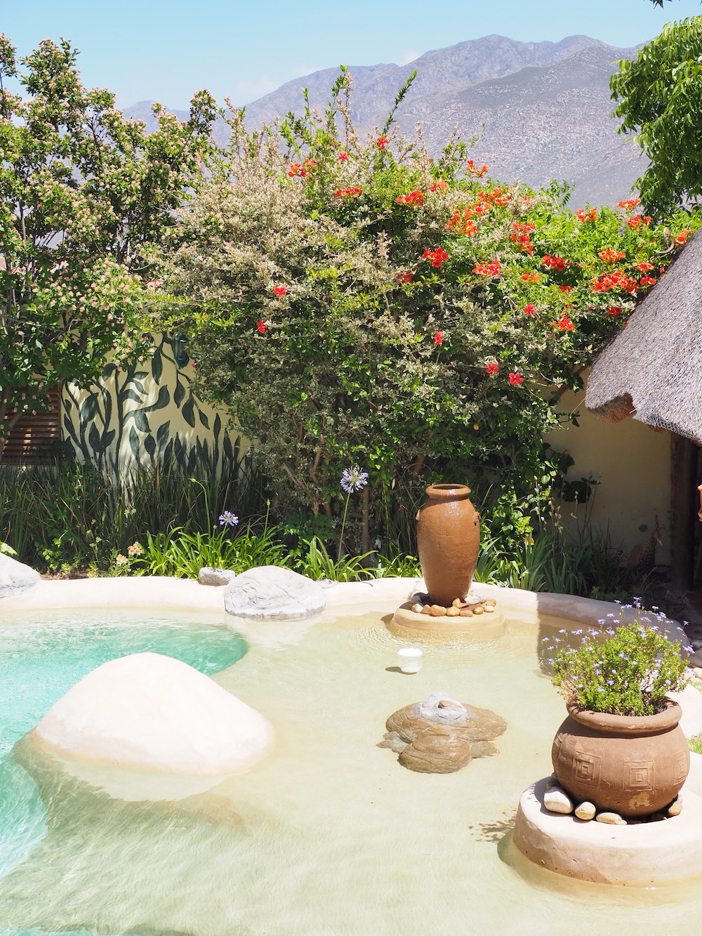 tuin John Montagu guesthouse zuid-afrika