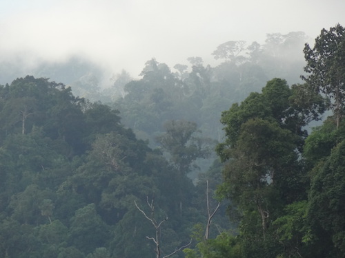 Khao sok ochtend thailand