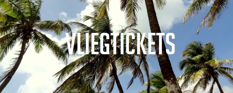 Kosten wereldreis vliegticket