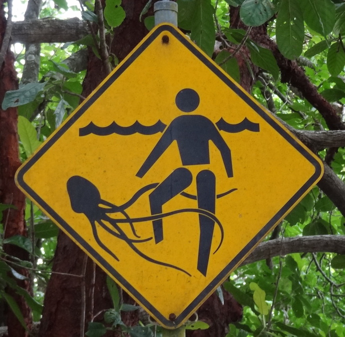 Kwallen australische dieren