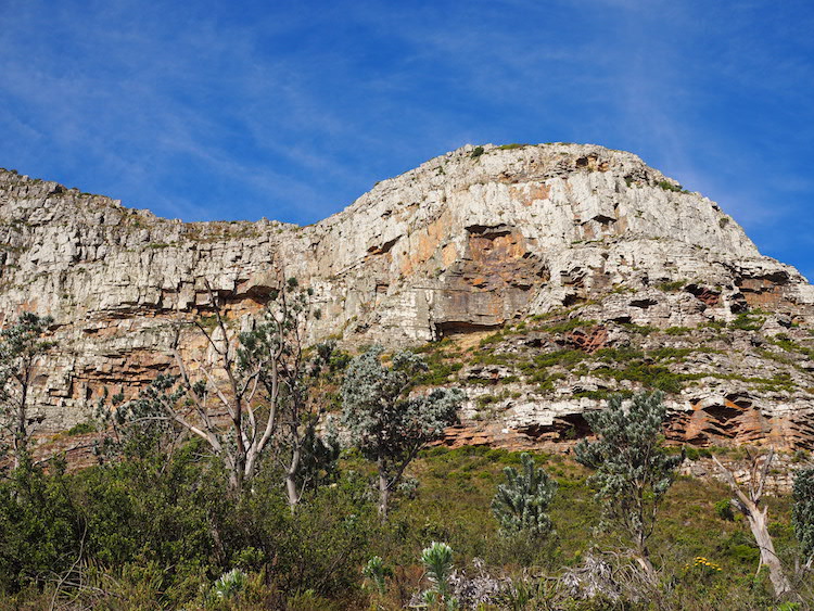 Lion's head rotsen