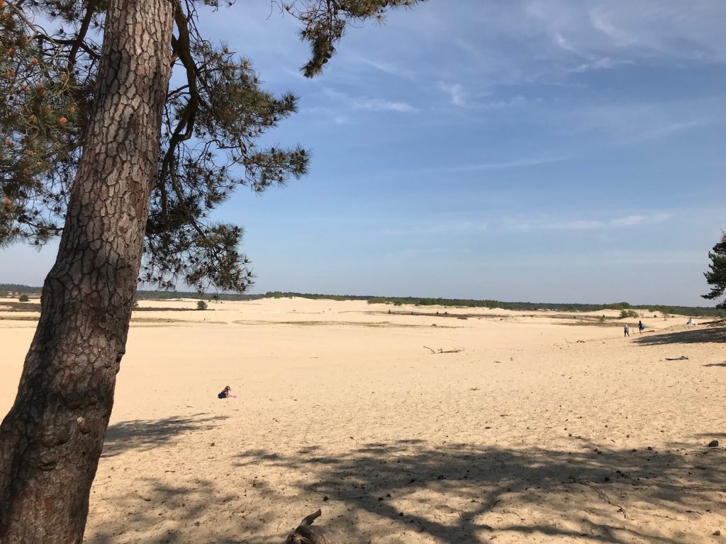 Loonse en Drunense Duinen overzicht
