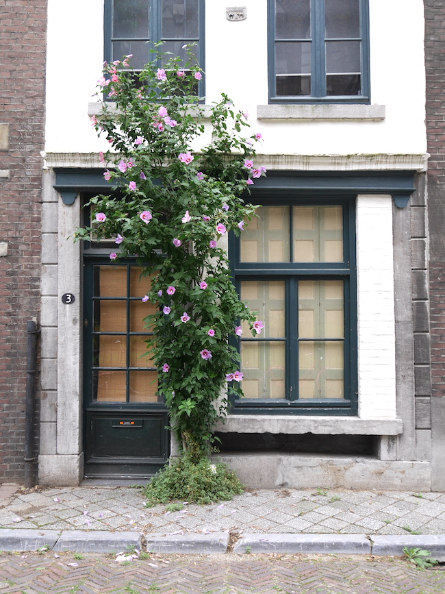 Maastricht rondwandelen straatjes