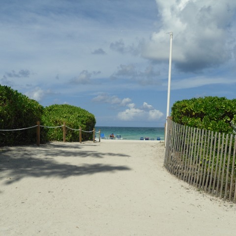 Miami strand