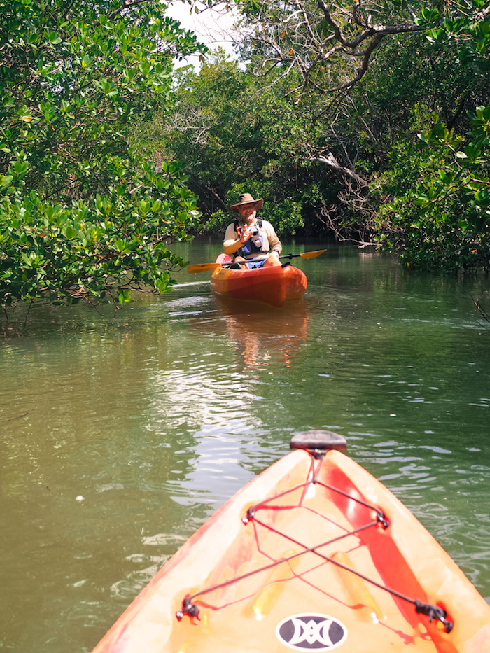 Naples Florida kayak tour zeester
