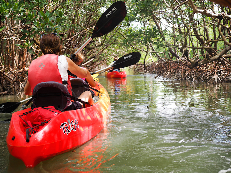 Naples Florida kayak tour
