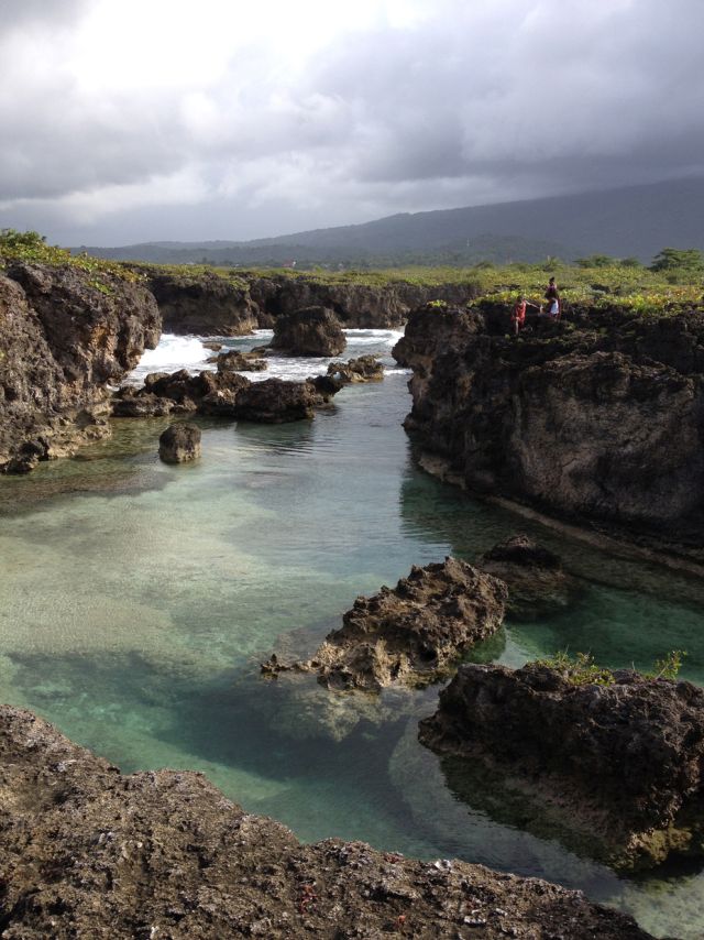 Natuur Jamaica