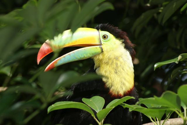 Nicaragua