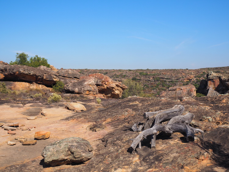 Omgeving bushmans kloof wildlife reserve