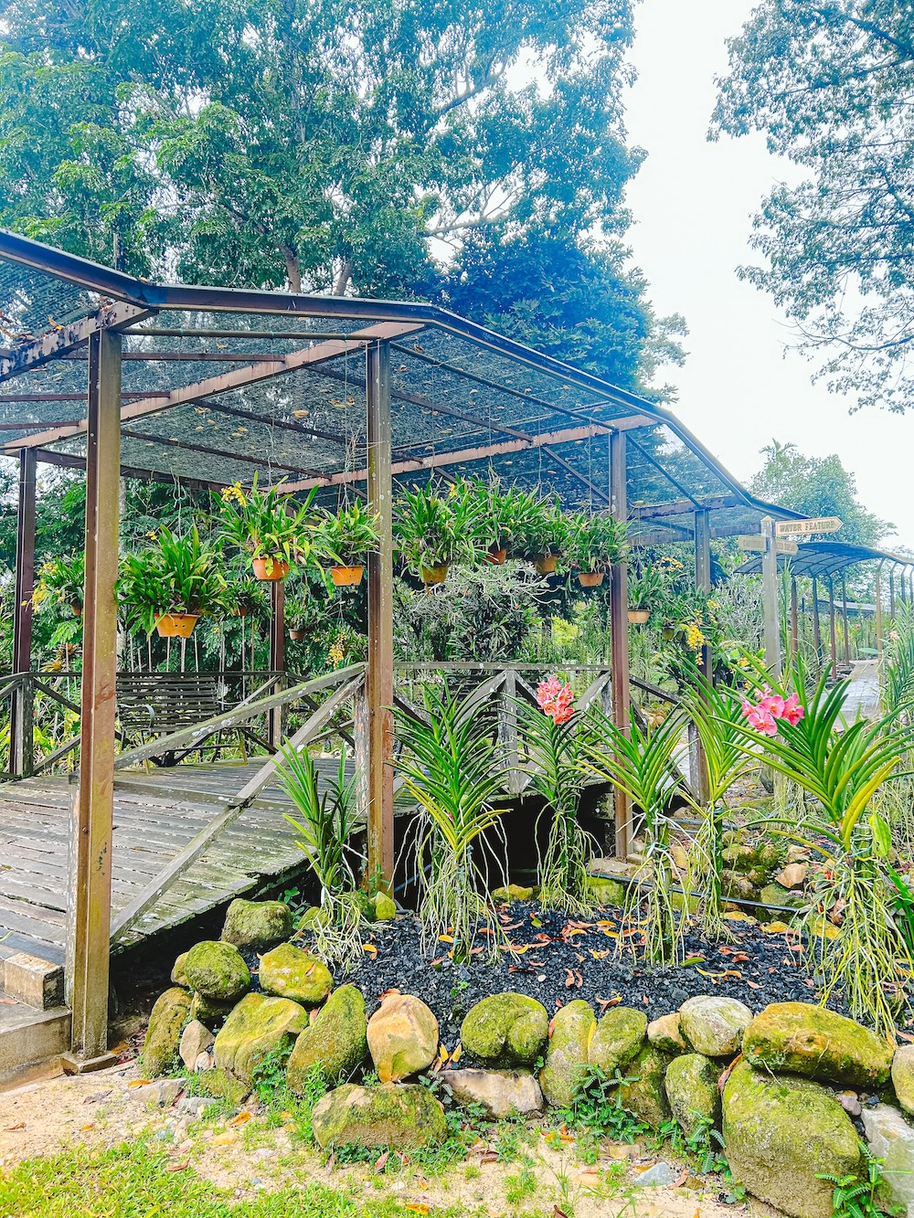 Orchideënpark Kuching