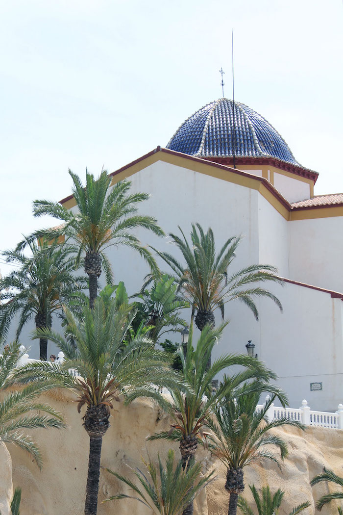 Palmbomen in Benidorm